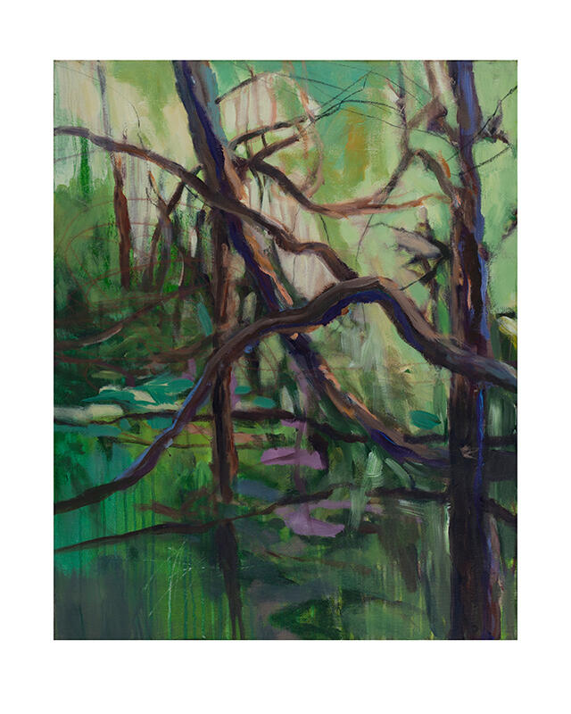 Deep Woods